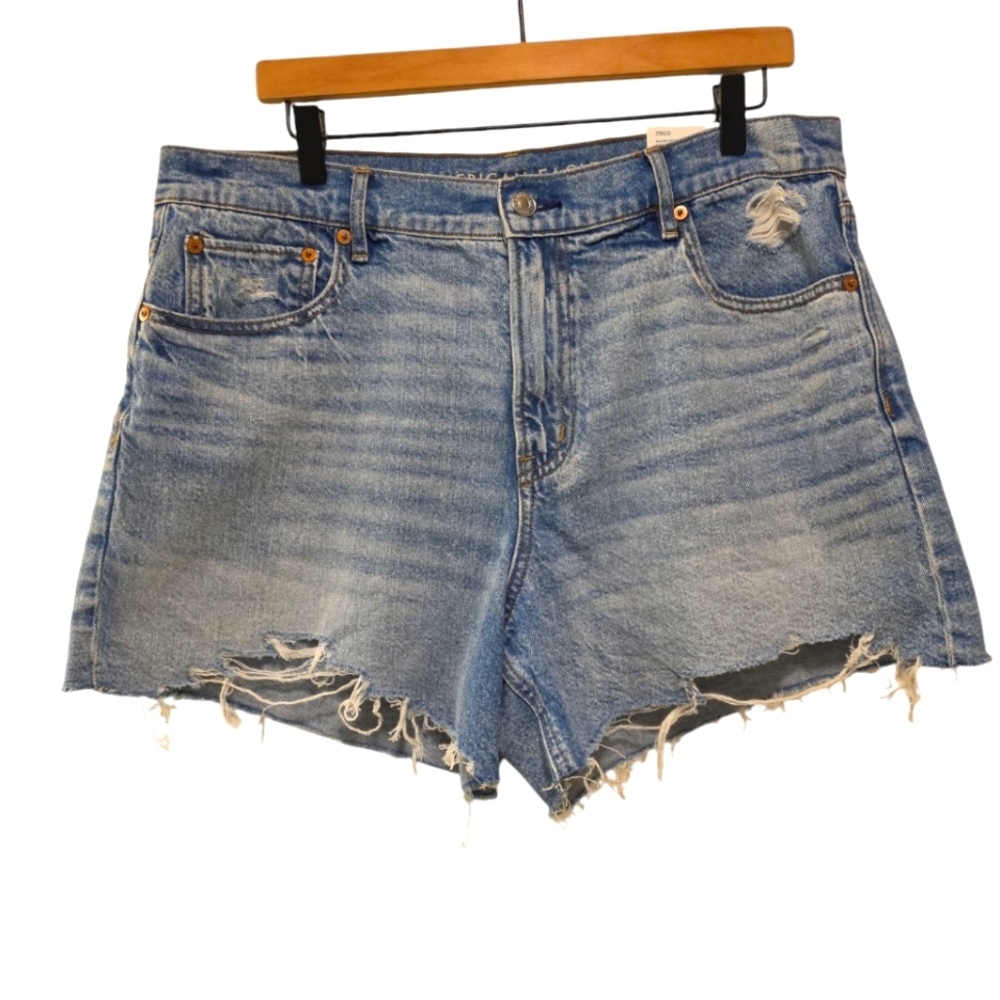 American Eagle Outfitters Blue Jean Shorts